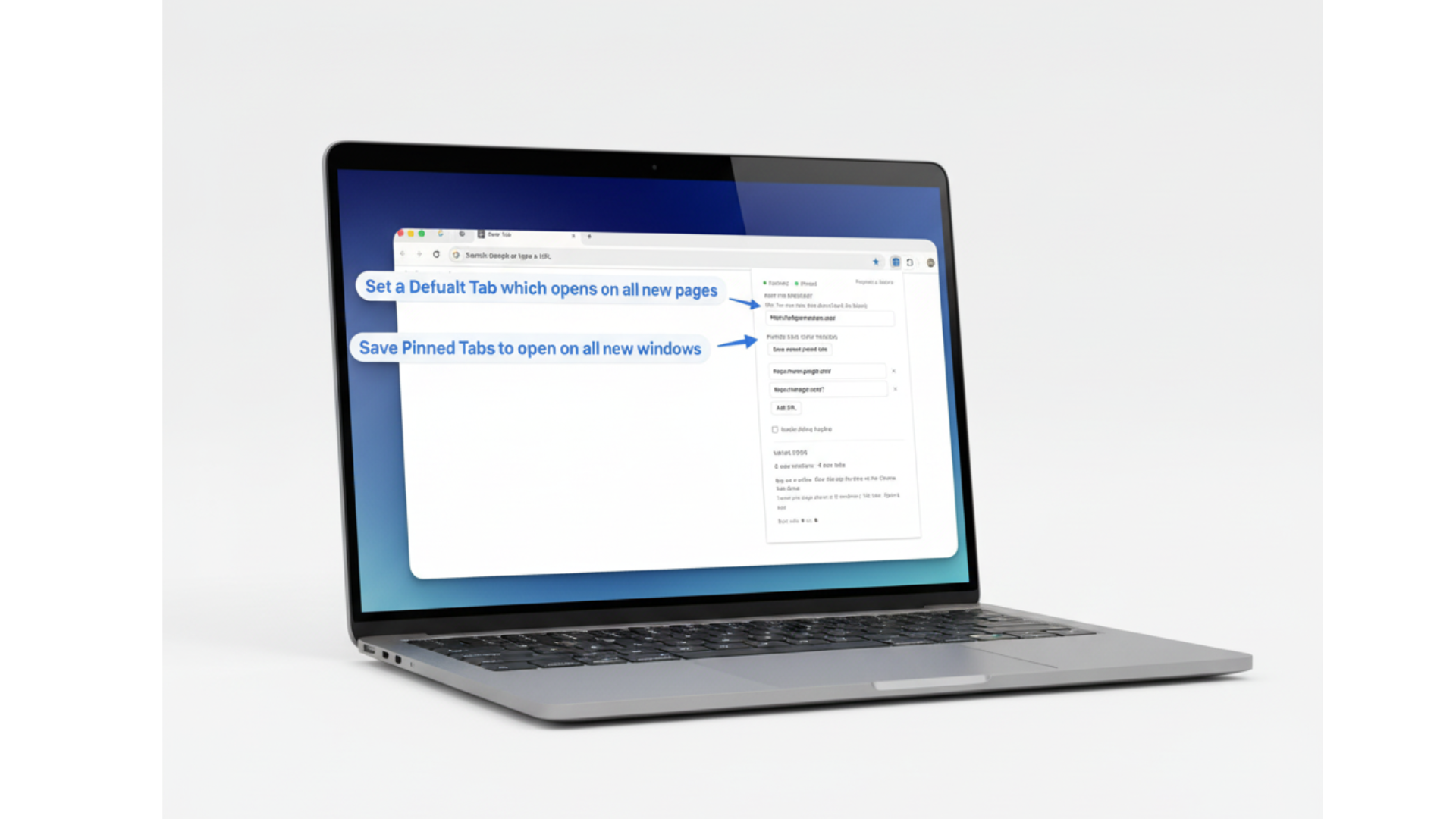 Extension settings: New Tab Redirect and Pinned Tabs configuration with annotations